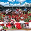 Outdoor long dining table decorated with red flowers and festive red accents under a bright blue sky in an outdoor event setting.